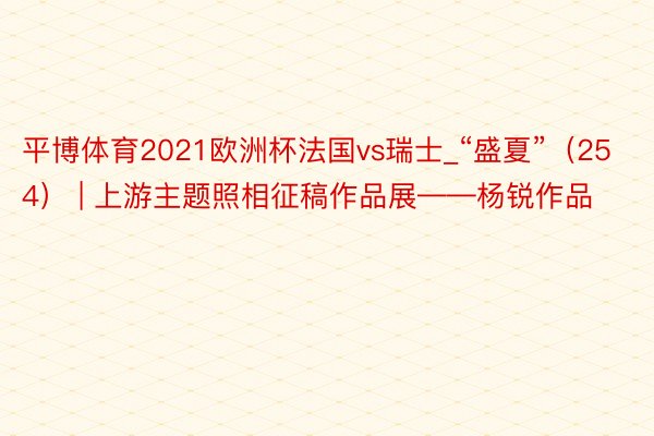 平博体育2021欧洲杯法国vs瑞士_“盛夏”（254） | 上游主题照相征稿作品展——杨锐作品