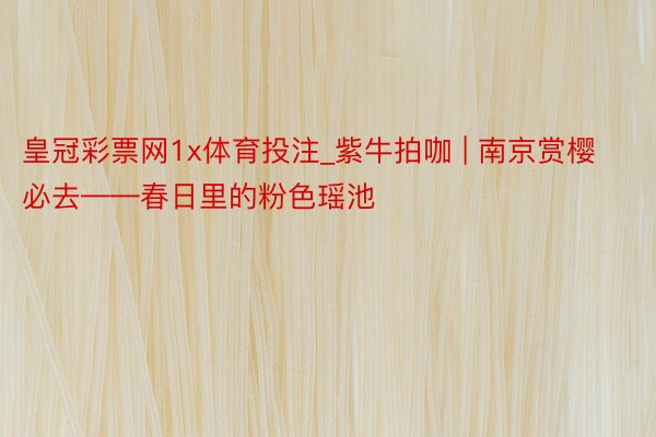 皇冠彩票网1x体育投注_紫牛拍咖 | 南京赏樱必去——春日里的粉色瑶池
